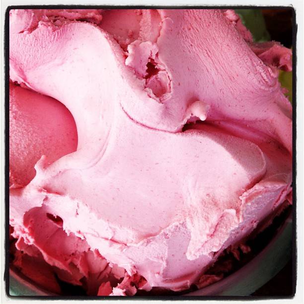BLOOD PEACH SORBET, a Gelato Messina special